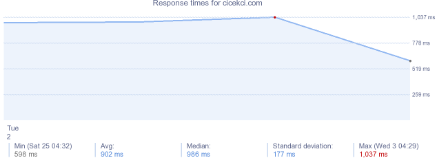 load time for cicekci.com